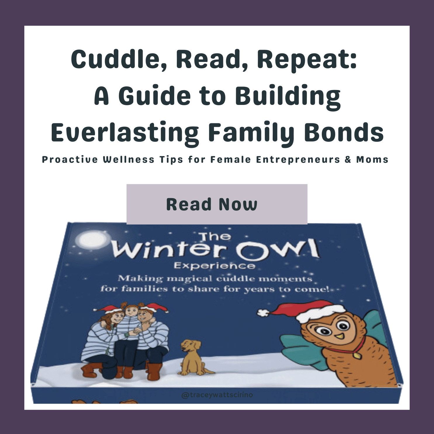 https://traceywattscirino.com/collections/the-winter-owl/products/the-winter-owl-experience-box