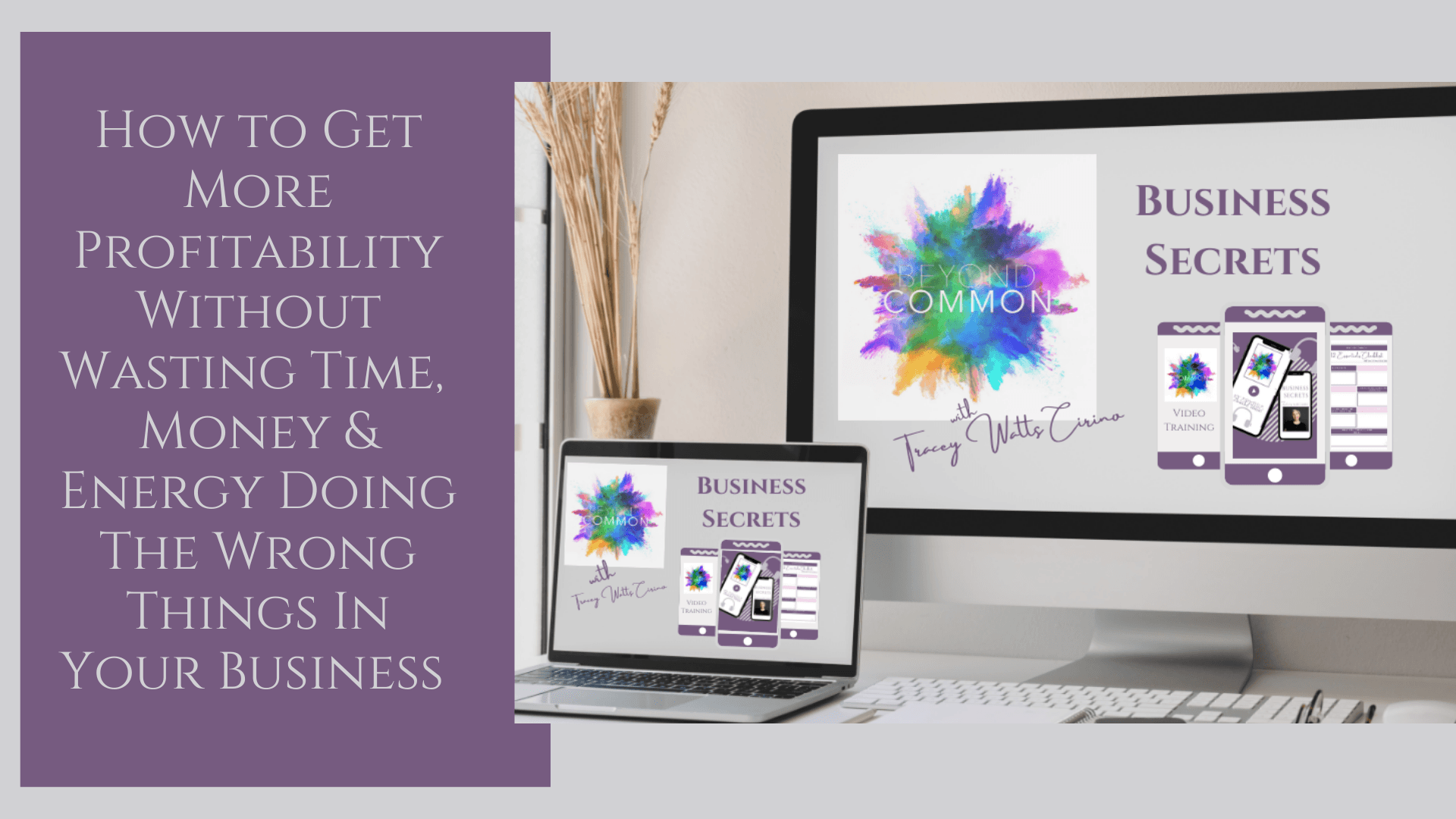 Tracey Watts Cirino Blog