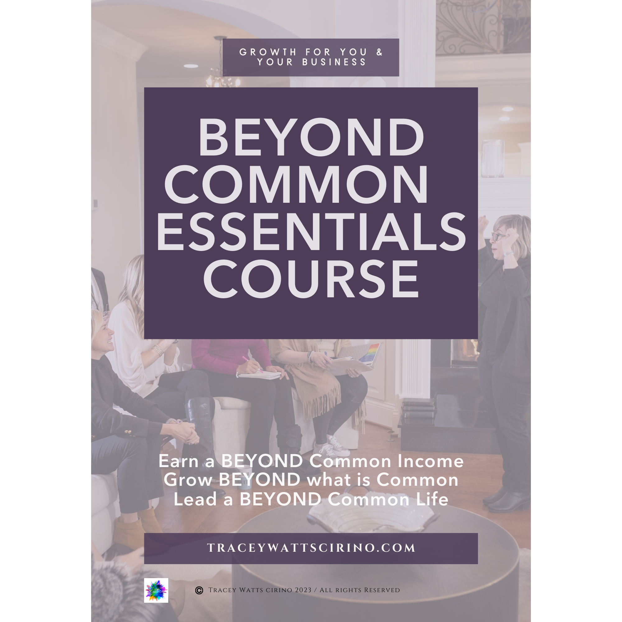 The Beyond Common Essentials Training Course Program Workbook  will guide you on how to build a loyal & profitable client list. Discover simple shifts to gain confidence in selling your high-end products and services.