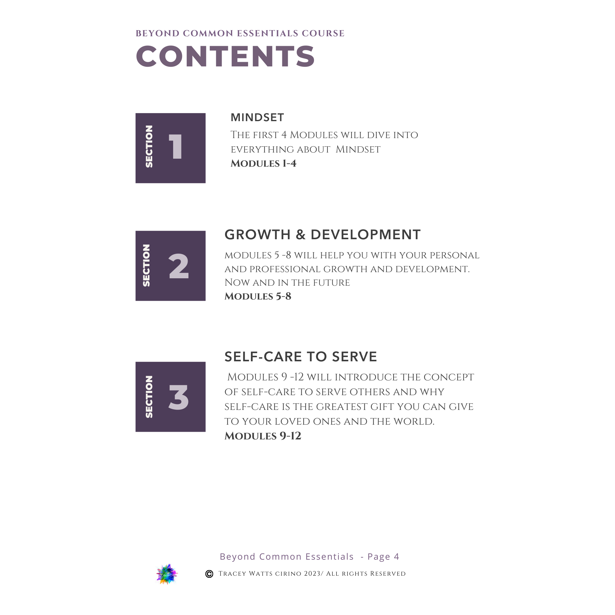 The Beyond Common Essentials Training Program has 3 simple section to make everything simple to use and learn as  you  discover how to build a loyal & profitable client list. Discover simple shifts to gain confidence in selling your high-end products and services.